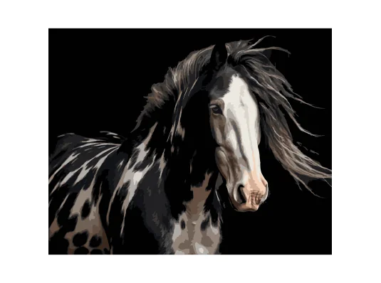 Картина по номерам Роскошная лошадь на черном фоне 40Х50 (AH1296) купить в интернет магазине подарков ПраздникШоп