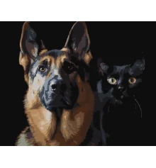 Картина по номерам Немецкая овчарка и черный кот на черном фоне 40Х50 (AH1297) купить в интернет магазине подарков ПраздникШоп