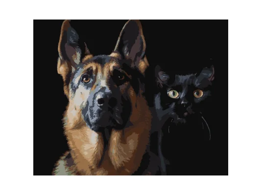Картина по номерам Немецкая овчарка и черный кот на черном фоне 40Х50 (AH1297) купить в интернет магазине подарков ПраздникШоп