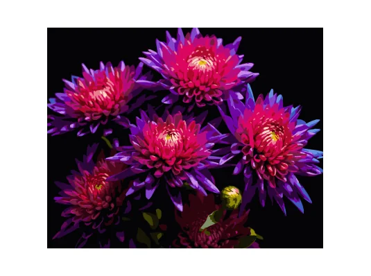 Картина по номерам Астры на черном фоне 40Х50 (AH1298) купить в интернет магазине подарков ПраздникШоп