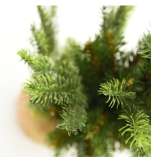 Елка искуственная Yes! Fun h-0 купить в интернет магазине подарков ПраздникШоп