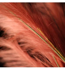 Ветка декоративная Yes! Fun Пампасная трава 100см бордо купить в интернет магазине подарков ПраздникШоп