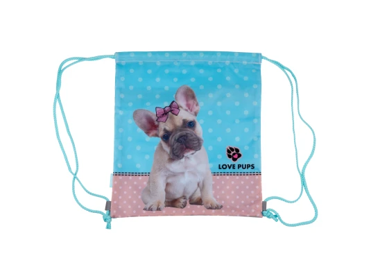 Сумка для обуви 1Вересня SB-10 Dolly Dog купить в интернет магазине подарков ПраздникШоп