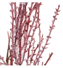 Ветка декоративная Yes! Fun Мискантус купить в интернет магазине подарков ПраздникШоп