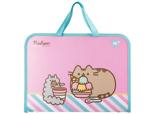 Папка-портфель Yes Pusheen Stormy FC на молнии с тканевыми ручками купить в интернет магазине подарков ПраздникШоп