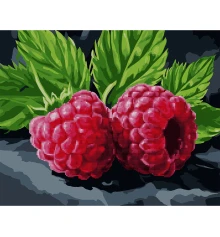 Картина по номерам с алмазной мозаикой SANTI Сочная малина купить в интернет магазине подарков ПраздникШоп