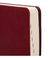 Ежедневник 12х20 см Leo Planner датированный 2026 "Alpha" купить в интернет магазине подарков ПраздникШоп