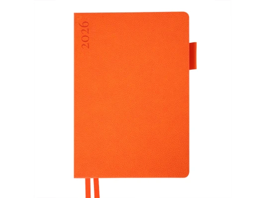 Ежедневник А5 Leo Planner датированный 2026 "Binario" купить в интернет магазине подарков ПраздникШоп