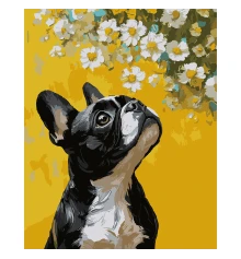 Картина по номерам SANTI Бульдог и цветы 40х50 см купить в интернет магазине подарков ПраздникШоп