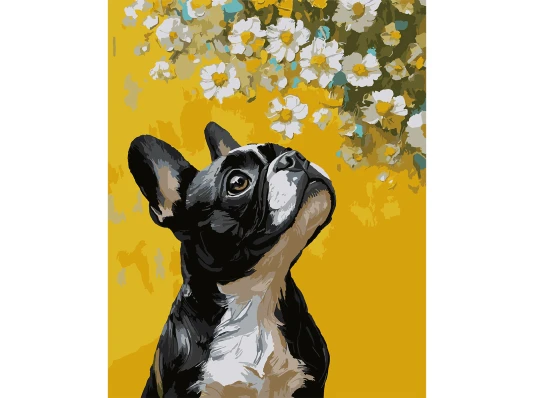 Картина по номерам SANTI Бульдог и цветы 40х50 см купить в интернет магазине подарков ПраздникШоп