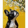 Картина за номерами SANTI Бульдог і квіти 40х50 см