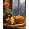 Картина за номерами SANTI Солодкі сни котика 40х50 см