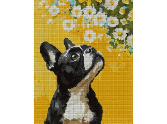 Алмазная мозаика SANTI Бульдог и цветы 40х50 см на подрамнике купить в интернет магазине подарков ПраздникШоп