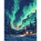 Картина по номерам SANTI Северное сияние 40х50 см LED подсветка купить в интернет магазине подарков ПраздникШоп