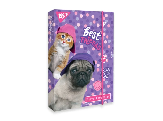 Папка для труда YES картонная A4 Keith Kimberlin купить в интернет магазине подарков ПраздникШоп