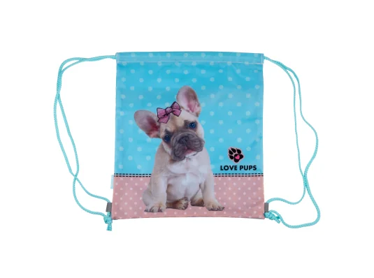 Сумка для обуви 1Вересня SB-10 Dolly Dog купить в интернет магазине подарков ПраздникШоп