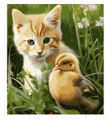 Картина по номерам Котик и утенок в милой дружбе на цветном фоне размером 40х50 см (MZ011) купить в интернет магазине подарков ПраздникШоп