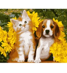 Картина по номерам Собака и кот на цветном фоне размером 40х50 см (MZ052) купить в интернет магазине подарков ПраздникШоп