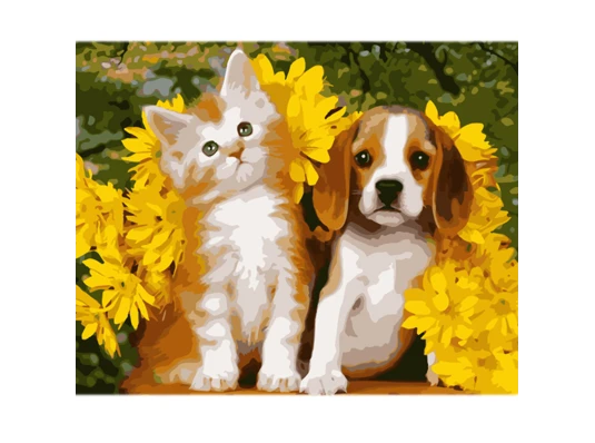Картина по номерам Собака и кот на цветном фоне размером 40х50 см (MZ052) купить в интернет магазине подарков ПраздникШоп