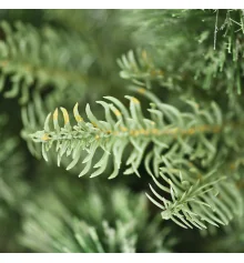 Сосна искуственная Yes! Fun h-0 купить в интернет магазине подарков ПраздникШоп