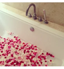 Лепестки роз (уп. 300шт) красные купить в интернет магазине подарков ПраздникШоп