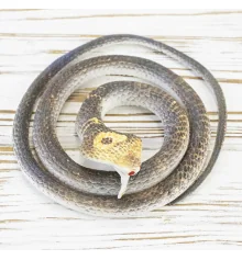 Резиновая змея 75см KP(светло-коричневая) купить в интернет магазине подарков ПраздникШоп