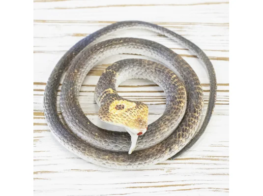 Резиновая змея 75см KP(светло-коричневая) купить в интернет магазине подарков ПраздникШоп