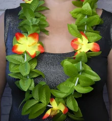 Гавайские леи Нимфа (зеленые с оранжевым) купить в интернет магазине подарков ПраздникШоп