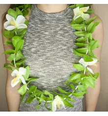 Гавайские леи Нимфа (зеленые с белым) купить в интернет магазине подарков ПраздникШоп