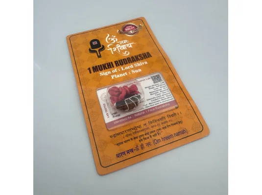 Амулет-талисман Рудракша 1 Мукхи (1 Лик) купить в интернет магазине подарков ПраздникШоп