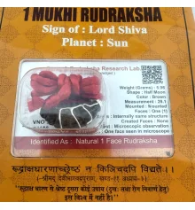 Амулет-талисман Рудракша 1 Мукхи (1 Лик) купить в интернет магазине подарков ПраздникШоп